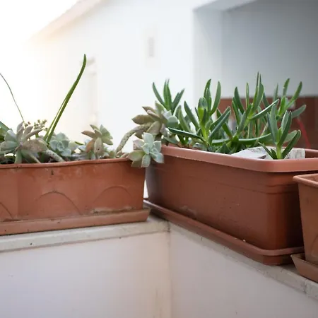 Appartement Gospojica