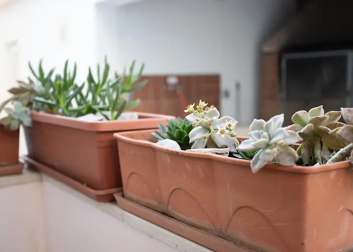 Gospojica Apartament *