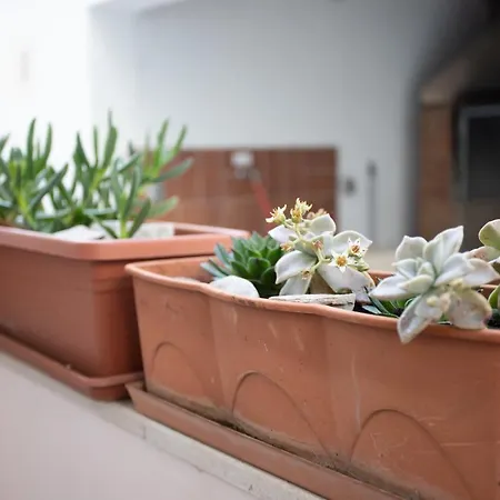 Gospojica Apartment *